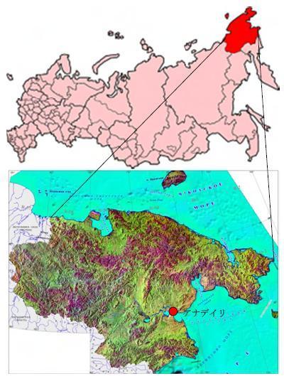 チュクチ自治管区の金鉱床 概要 ロシアの地下資源がよくわかるブログ